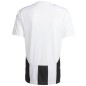 Adidas Striped 24 JSY M T-shirt IW2143