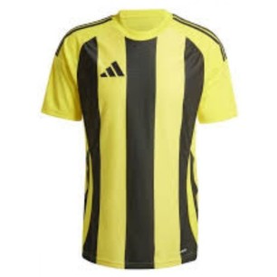 Adidas Striped 24 JSY M T-shirt IW2146