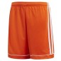 Pantaloncini Adidas Squadra 17 Junior BK4775