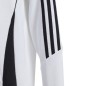 Adidas Tiro 24 Hooded Sweat Jr IR7506 sweatshirt