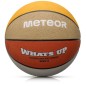 Pallone da basket Meteor What's up 5 16797 taglia 5