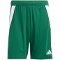 Pantaloncini Adidas Tiro 24 M IS1410