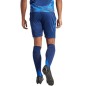 Adidas Tiro 24 Competition Match M shorts IQ4754