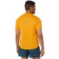 Asics Fujitrail Logo SS Top M 2011C981-800 T-shirt