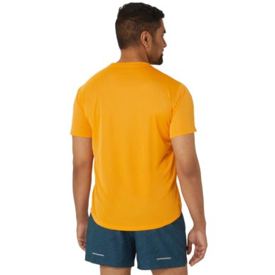 Asics Fujitrail Logo SS Top M 2011C981-800 T-shirt