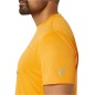 Asics Fujitrail Logo SS Top M 2011C981-800 T-shirt