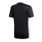 Adidas Campeon 21 M FT6760 T-shirt