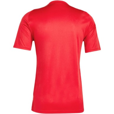 Maglia Adidas Tiro 24 M IS1016