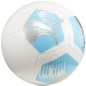 Pallone da calcio Puma Big Cat 84214 04