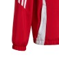 Adidas Tiro 24 Jr IM8800 jacket