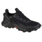 Scarpe da corsa Salomon Alphacross 4 GTX W 470641