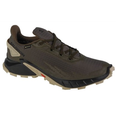 Scarpe da corsa Salomon Alphacross 4 GTX M 471169