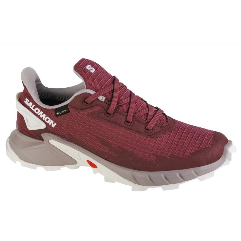 Scarpe da corsa Salomon Alphacross 4 GTX W 471174