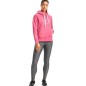 Felpa con cappuccio Under Armour Rival Fleece Metallic W 1356 323 668