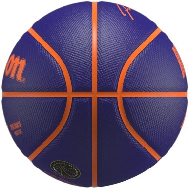 Wilson NBA Player Icon Devin Booker Mini Ball WZ4019801XB