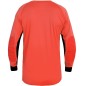 Joma Protect Long Sleeve 100447.040 football jersey