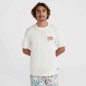 O'Neill Beach Graphic T-Shirt M 92800613968