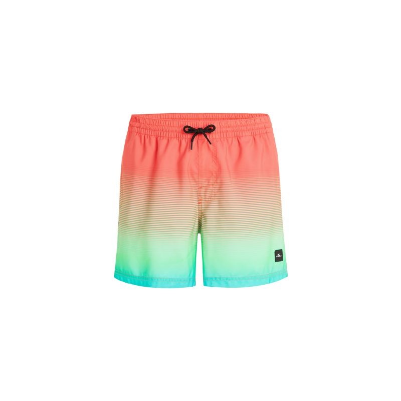 O'Neill Jack Cali Gradient 15'' Swim Shorts M 92800613575