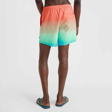 O'Neill Jack Cali Gradient 15'' Swim Shorts M 92800613575