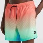 O'Neill Jack Cali Gradient 15'' Swim Shorts M 92800613575