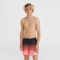 O'Neill Jack Cali Gradient 15'' Swim Shorts M 92800613579