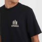 O'Neill Beach Graphic T-Shirt M 92800613988