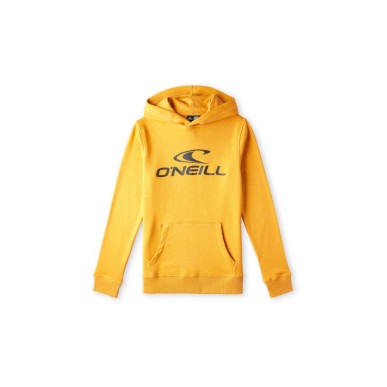 O'Neill Logo Hoodie Jr 92800615006