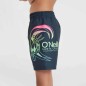 O'Neill Circle Surfer 14" Swim Shorts Jr 92800613201