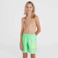 O'Neill Circle Surfer 14" Swim Shorts Jr 92800613206