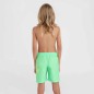 O'Neill Circle Surfer 14" Swim Shorts Jr 92800613206