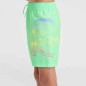 O'Neill Circle Surfer 14" Swim Shorts Jr 92800613206