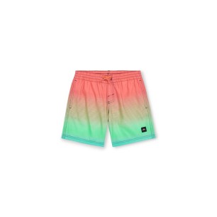 O'Neill Jack Cali Gradient 14'' Swim Shorts Jr 92800613570