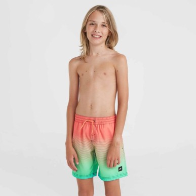 O'Neill Jack Cali Gradient 14'' Swim Shorts Jr 92800613570