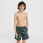 O'Neill Jack Cali Crazy 14'' Swim Shorts Jr 92800613561