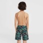 O'Neill Jack Cali Crazy 14'' Swim Shorts Jr 92800613561