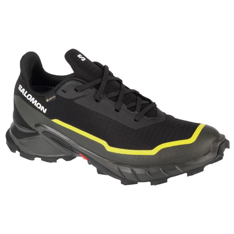 Salomon Alphacross 5 GTX M 474604 shoes