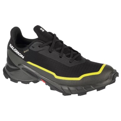 Scarpe Salomon Alphacross 5 GTX M 474604