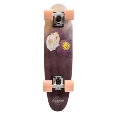 Skateboard Meteor 22591