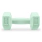 Spokey Monster dumbbells 2x 1 kg SPK-944049