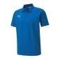 Puma teamGoal 23 T-shirt 656579-02