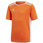 T-shirt adidas Entrada 18 JSY Y Jr CF1043