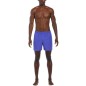 Nike Volley Short M NESSA560 504 shorts