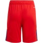 Adidas Tiro 24 Jr IT2422 shorts