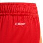 Adidas Tiro 24 Jr IT2422 shorts