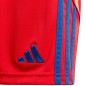 Adidas Tiro 24 Jr IT2422 shorts