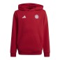 Adidas Bayern Munich Jr IT4134 sweatshirt