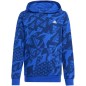 adidas Essentials Allover Print HD Jr IS2555 sweatshirt