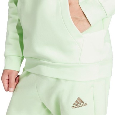 Felpa con cappuccio adidas Essentials Fleece M IN0327