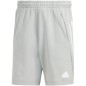 pantaloncini adidas Future Icons 3-Stripes M IR9165