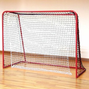 Floorball goal 160x115 cm